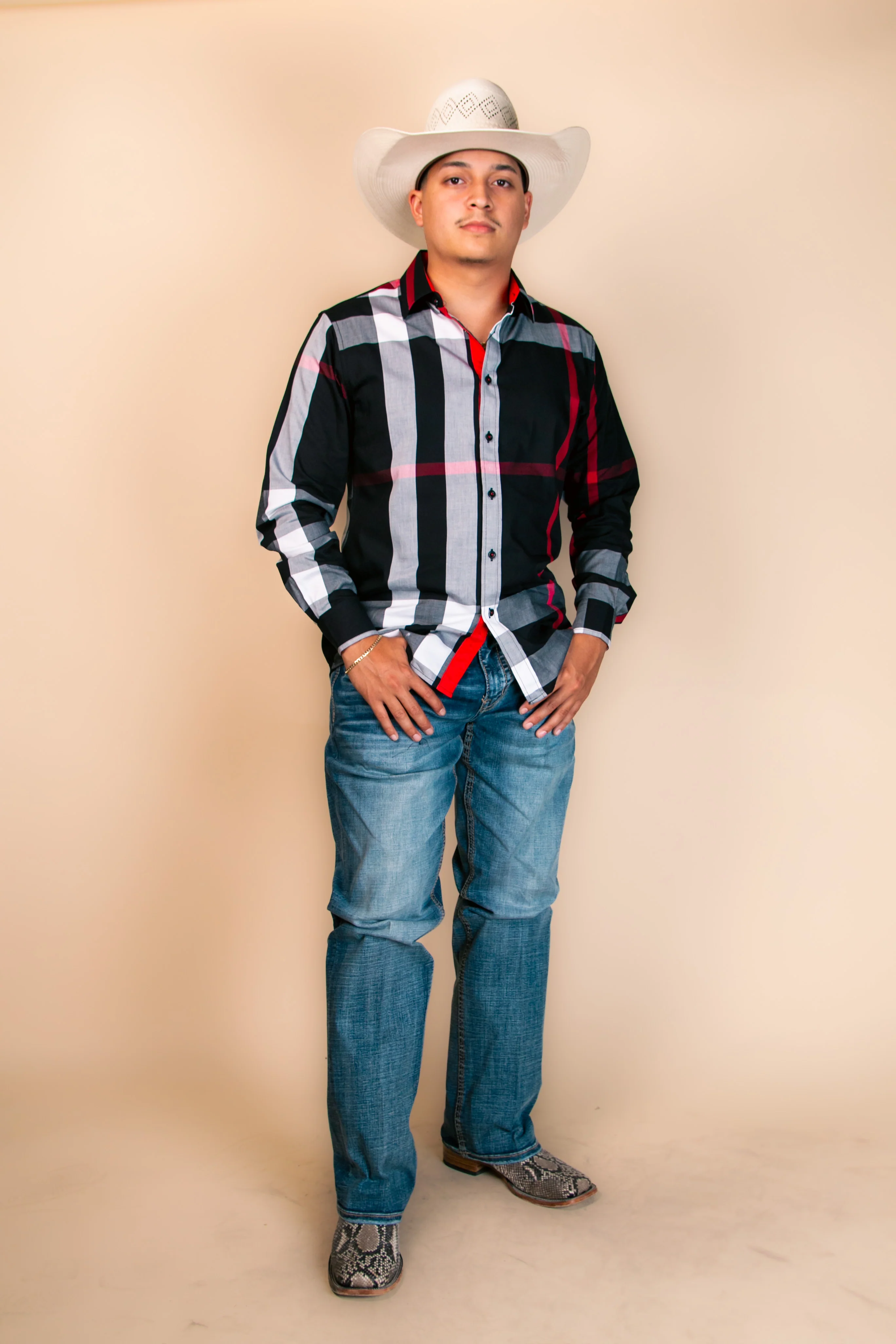 Baldelli Western Long Sleeve Dion Button-Up - Image 3