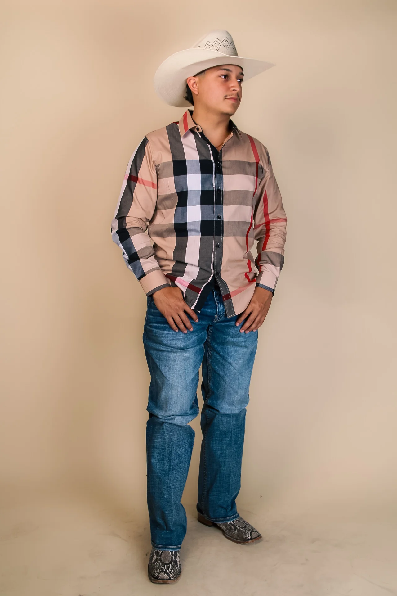 Baldelli Western Long Sleeve Dion Button-Up - Image 7