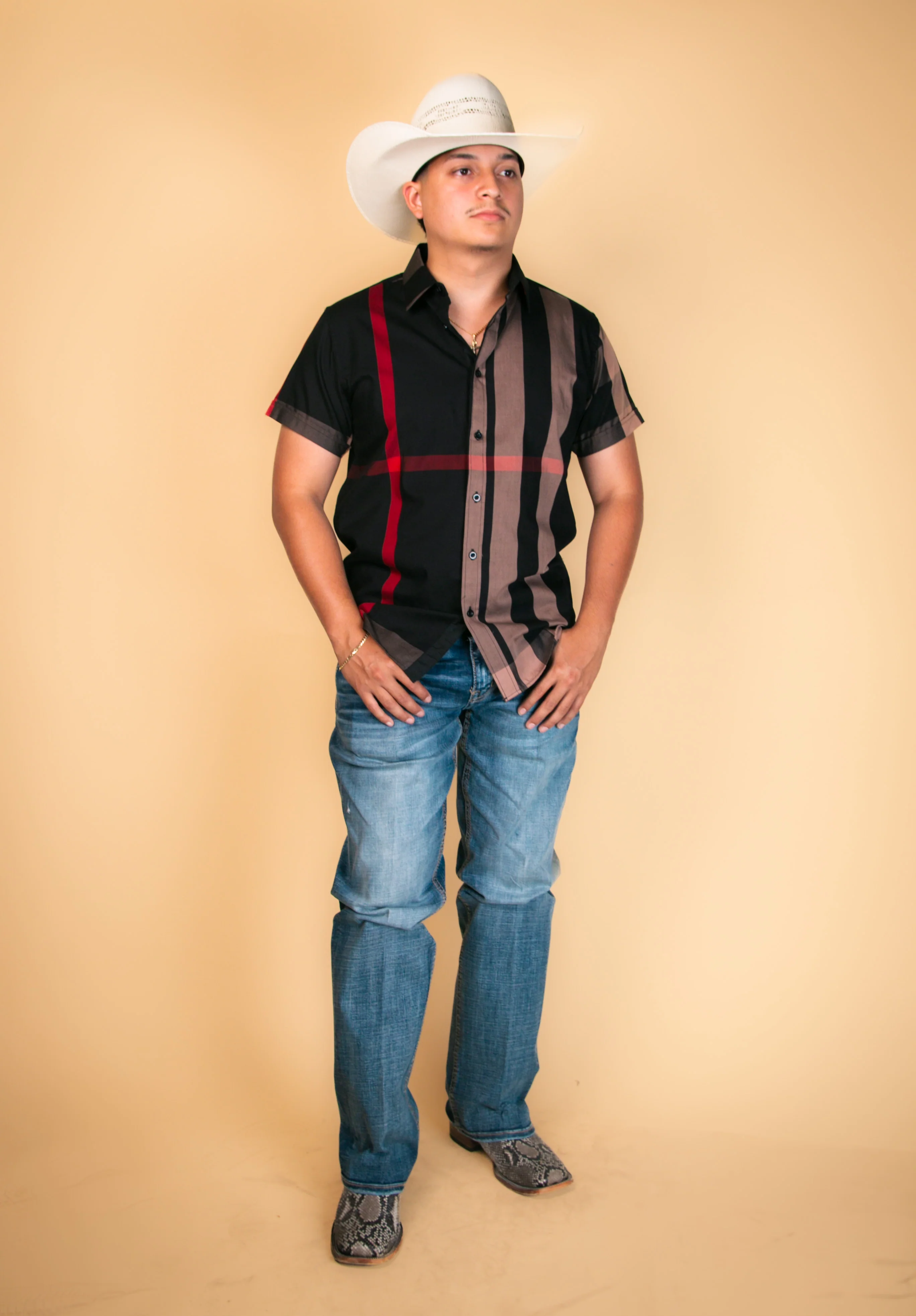 Baldelli Western Short Sleeve Dion Button-Up - Image 11