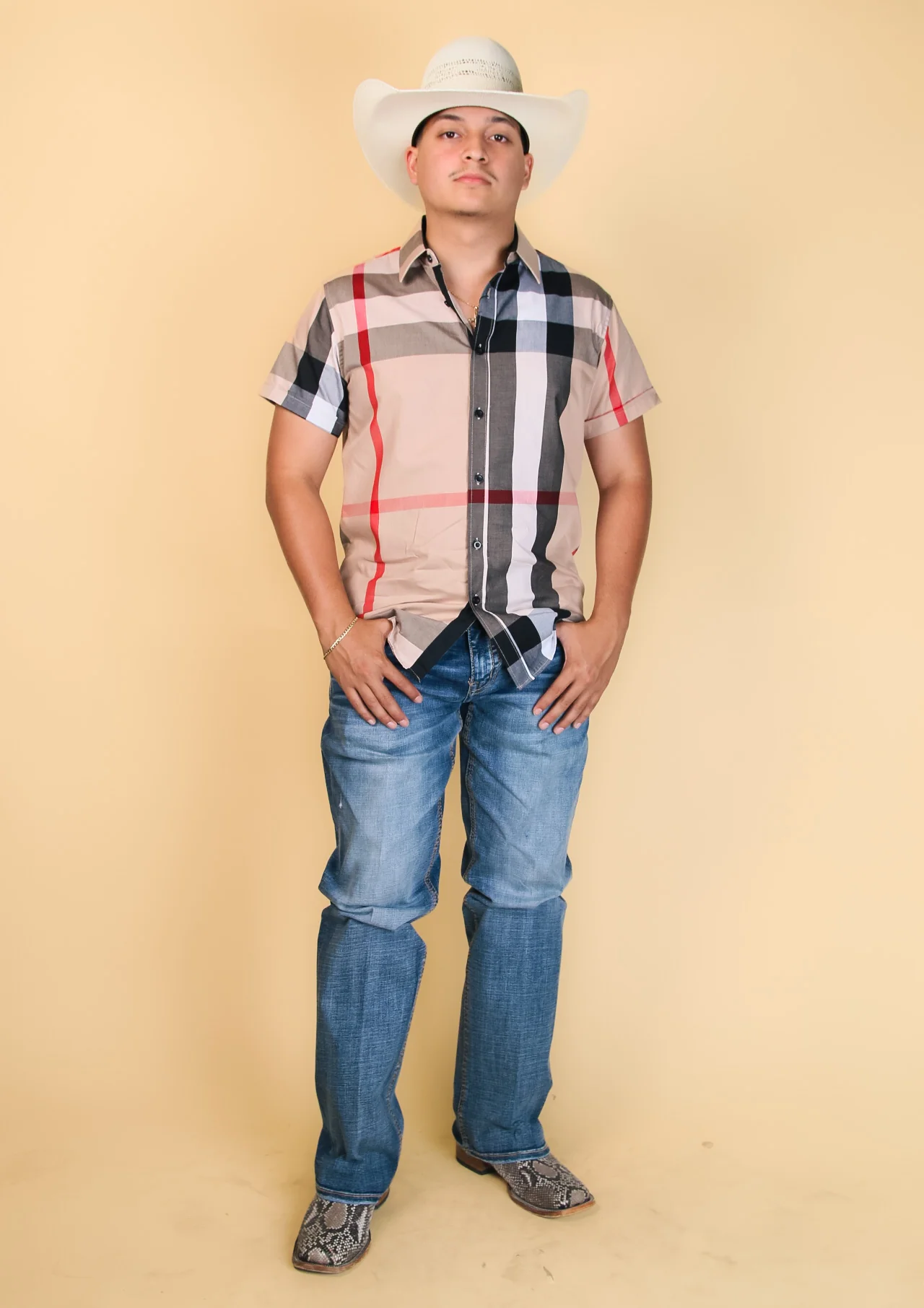 Baldelli Western Short Sleeve Dion Button-Up - Image 7