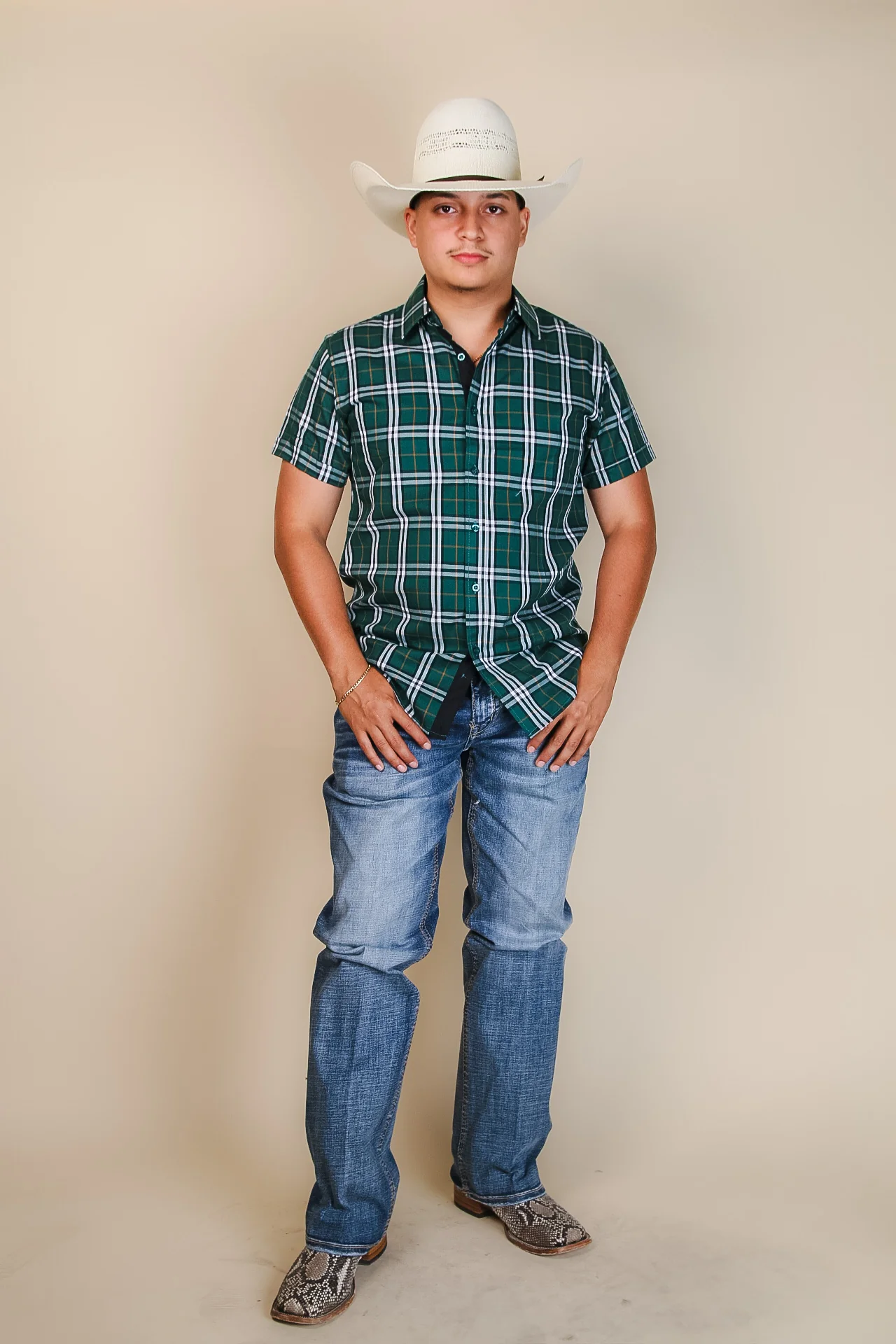Baldelli Western Short Sleeve Ryan Button-Up - Image 11