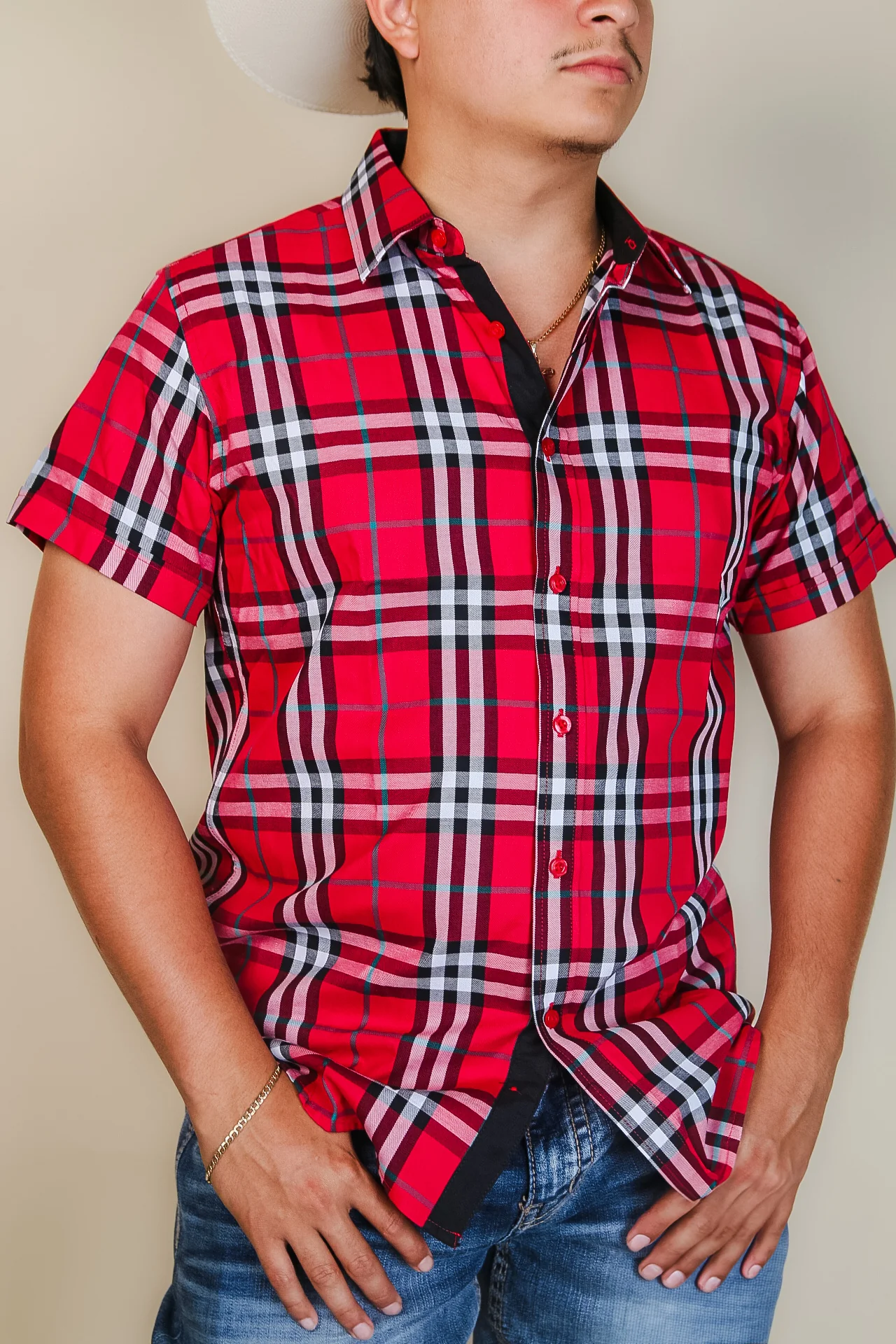 Baldelli Western Short Sleeve Ryan Button-Up - Image 6