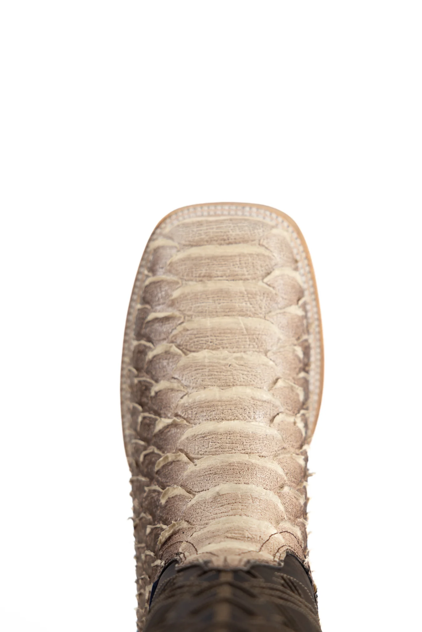 Bradley Python Square Toe Cowboy Boot - Image 9