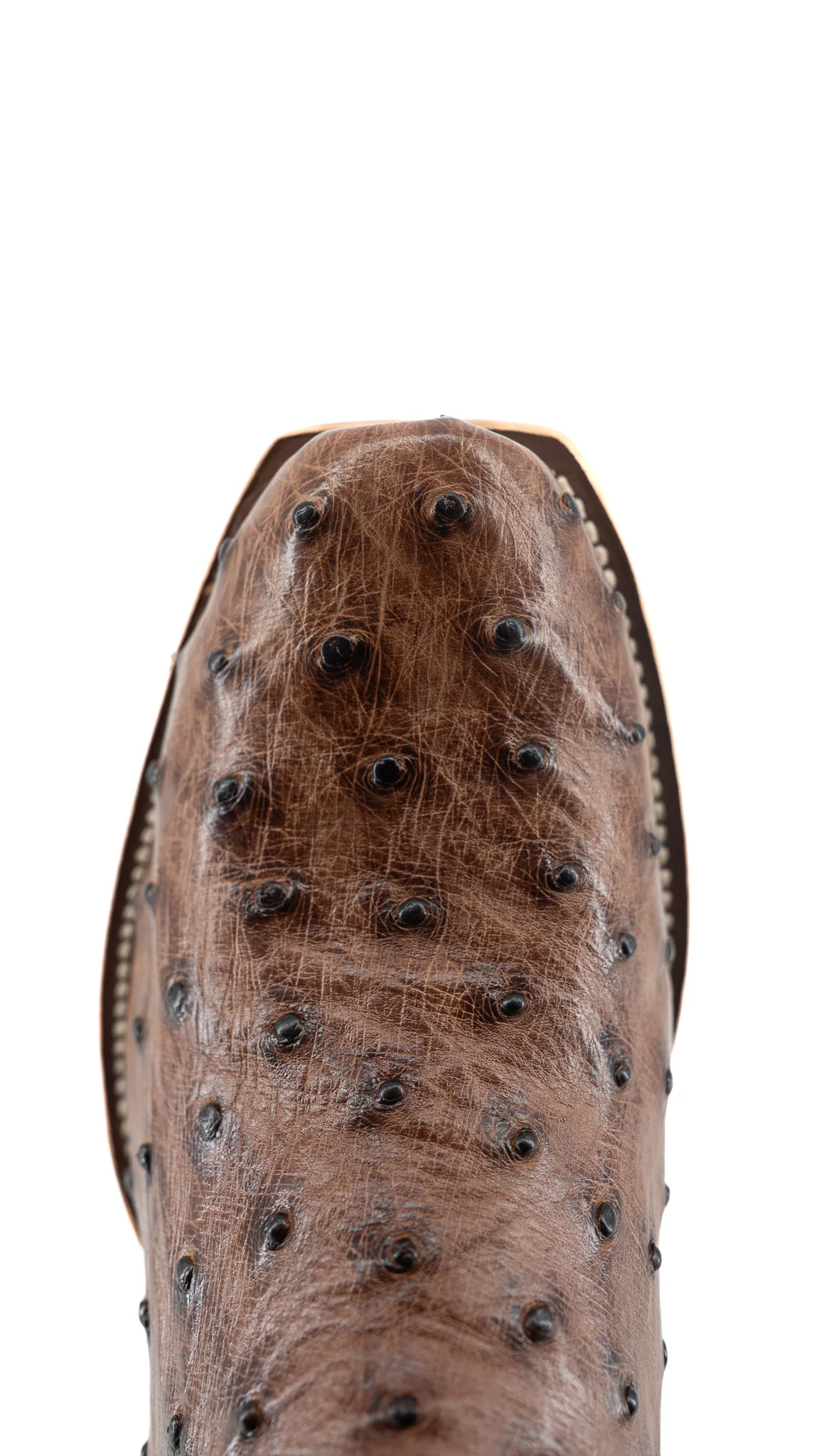 Horse Power Ostrich Cutter Toe Cowboy Boot - Image 5