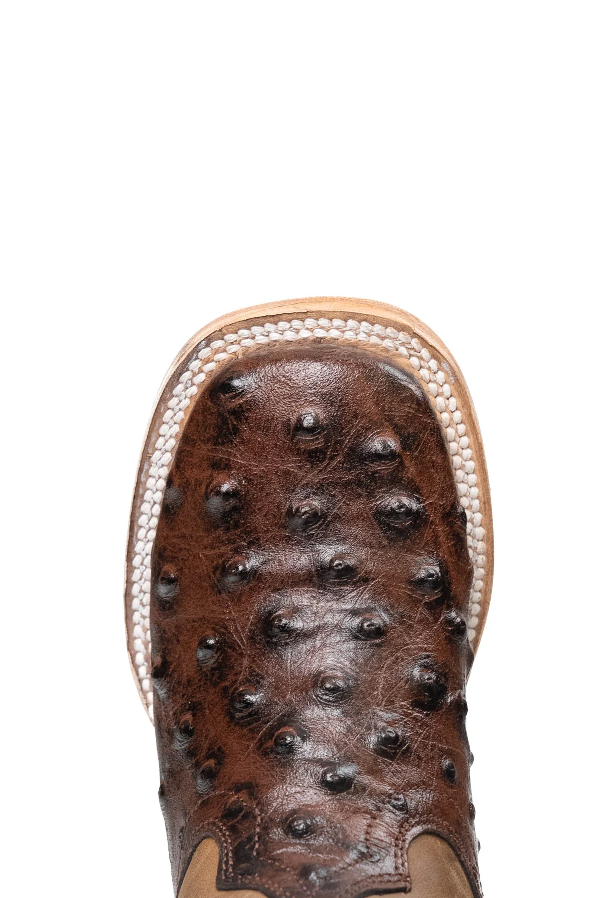 Little Bruce Ostrich Cowboy Boot - Image 12