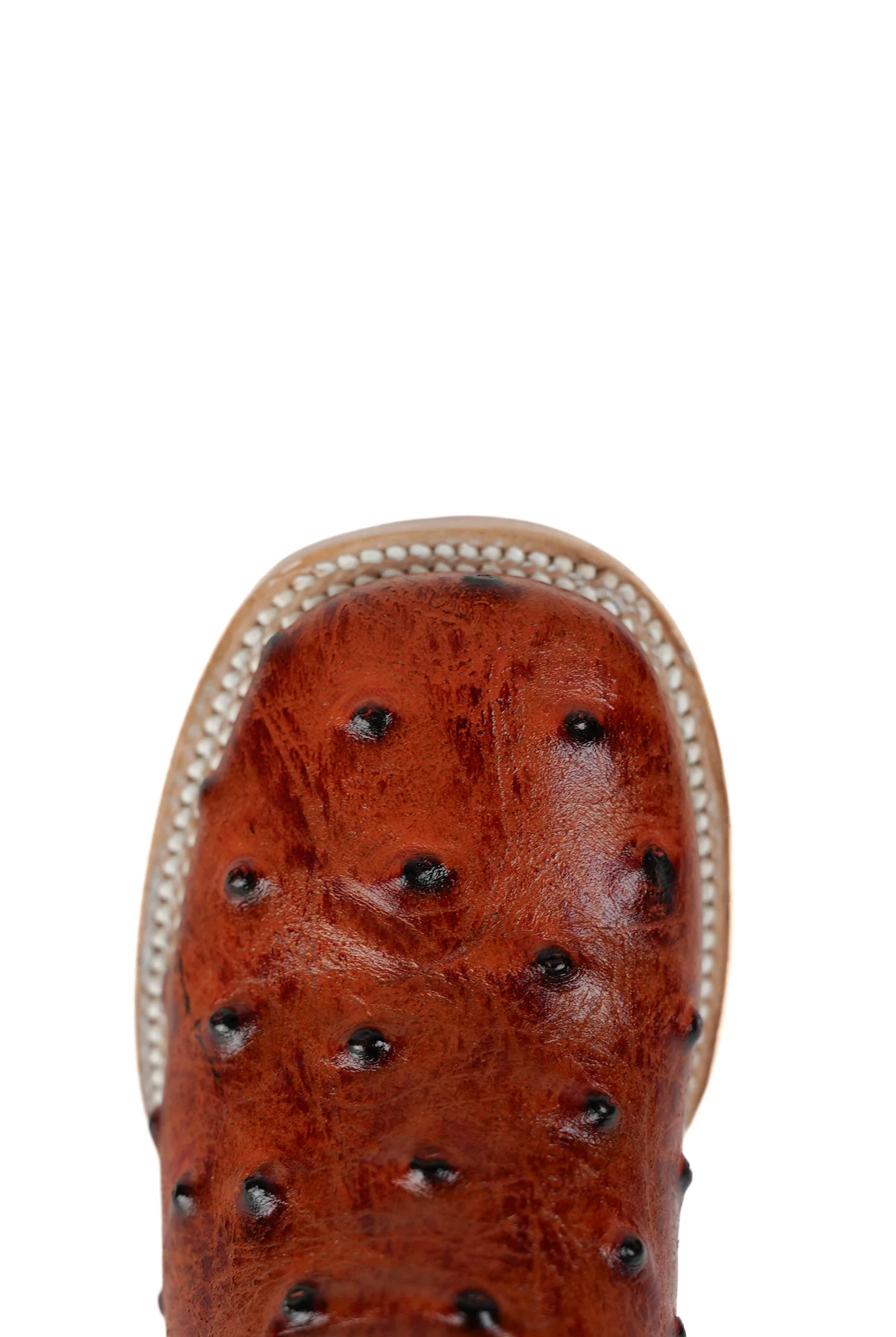 Little Bruce Ostrich Cowboy Boot - Image 23