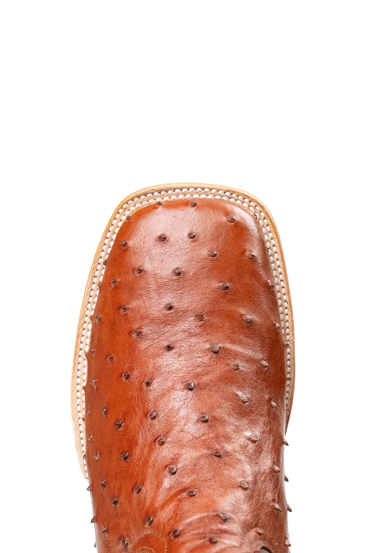 Monroe Ostrich Square Toe Cowboy Boot - Image 25