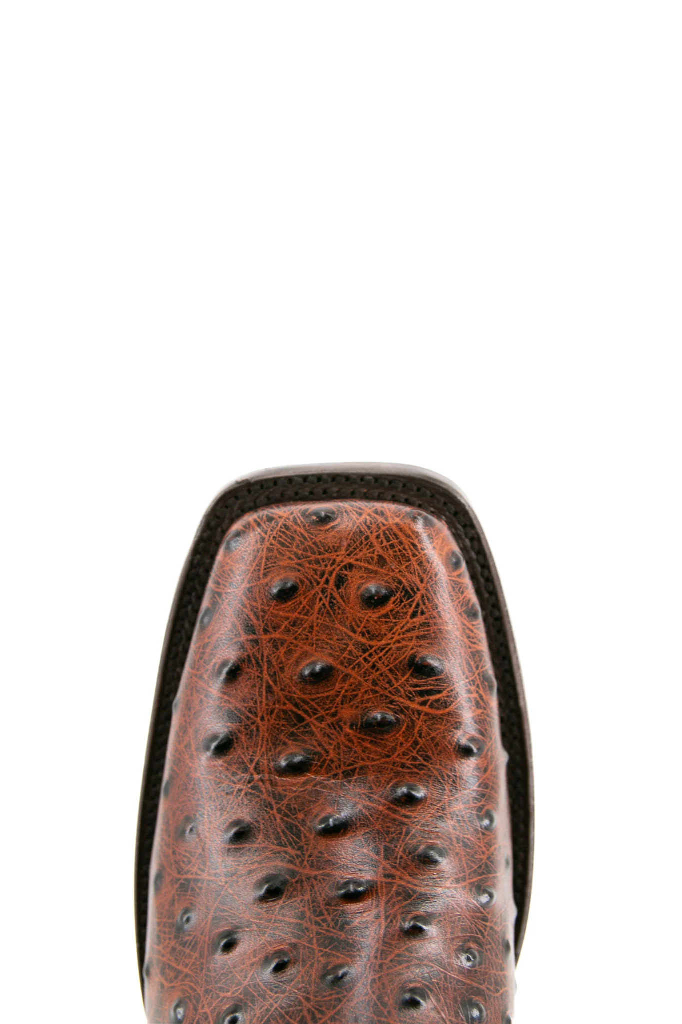 Ostrich Ranch Rodeo Cowboy Boot - Image 5