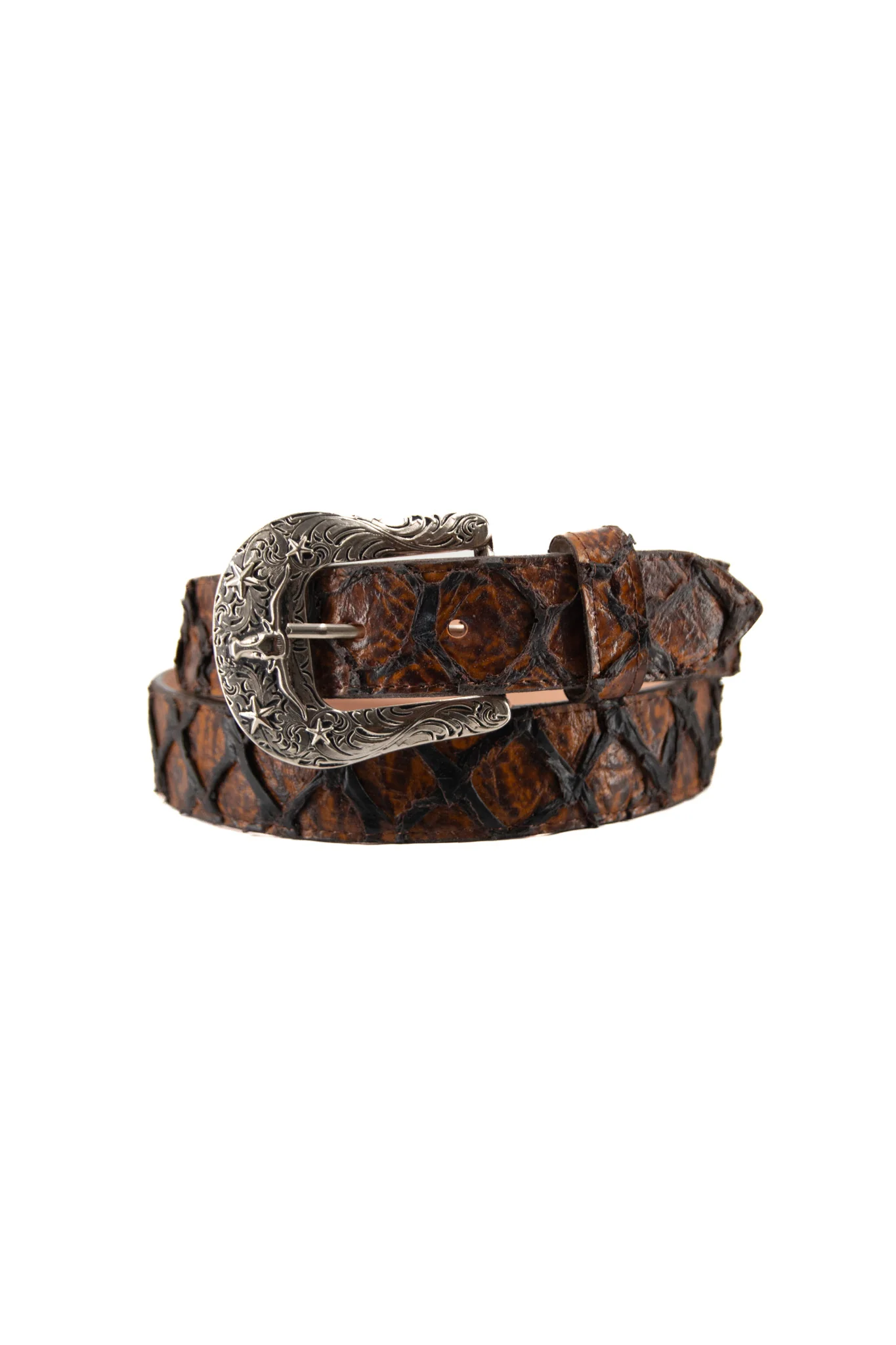 Clone Fish Pirarucu Cowboy Belt - Image 9