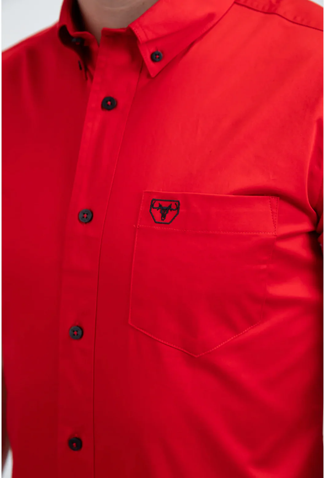 Platini Short Sleeve Rolex Button-Up - Image 3