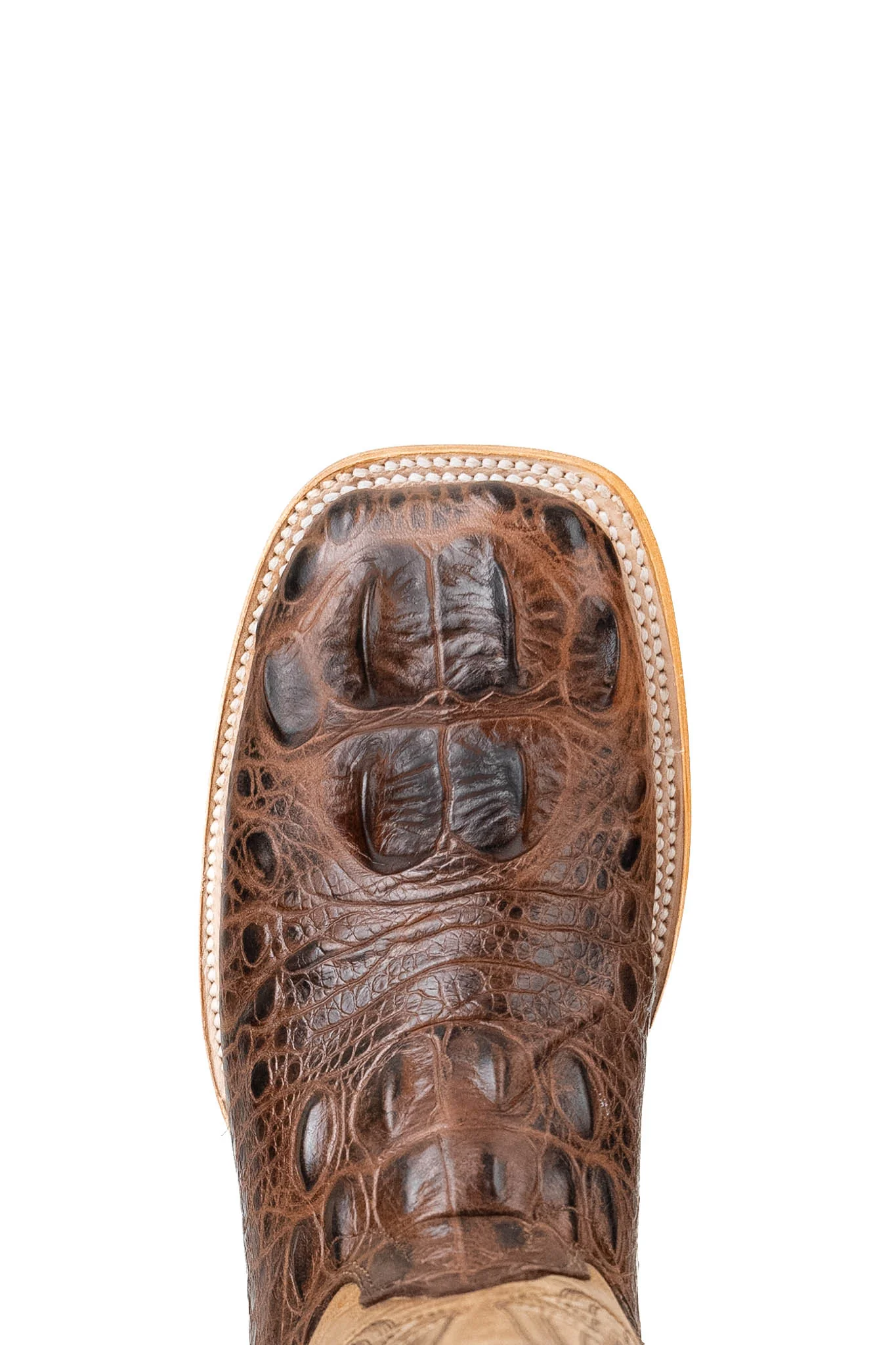Renegate Giant Alligator Square Toe Cowboy Boot - Image 5