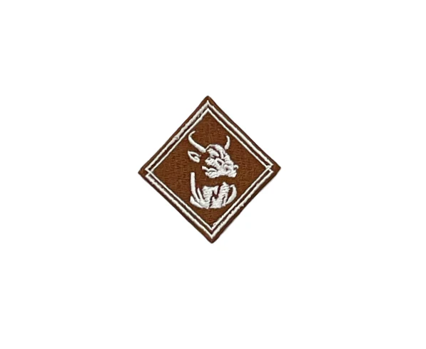 Rock'em Aztec Print Diamond Hat Patch 2024 - Image 12