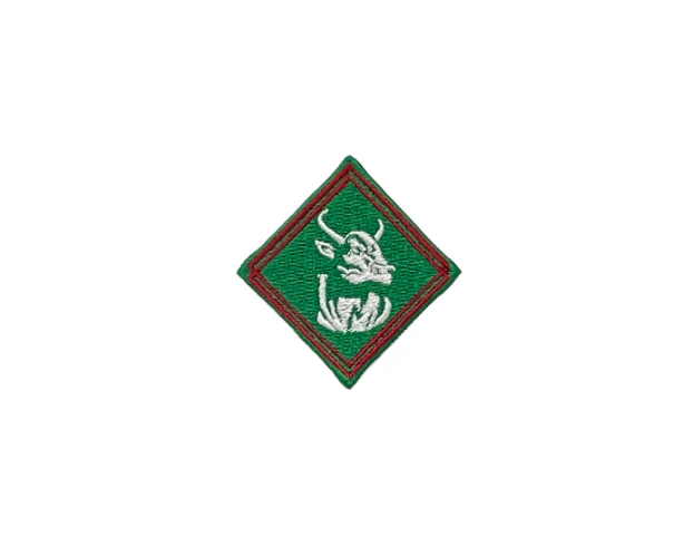 Rock'em Aztec Print Diamond Hat Patch 2024 - Image 9