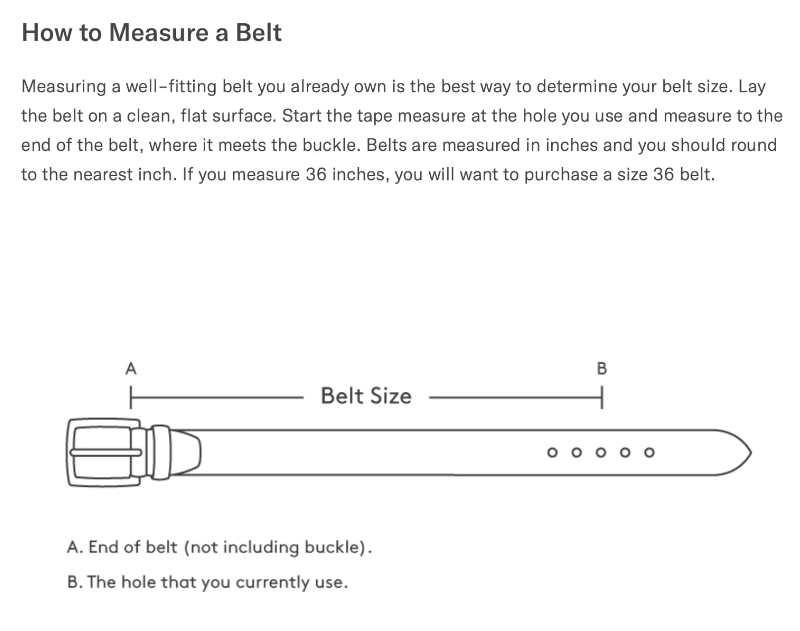 Ostrich Ranch Cowboy Belt - Image 15