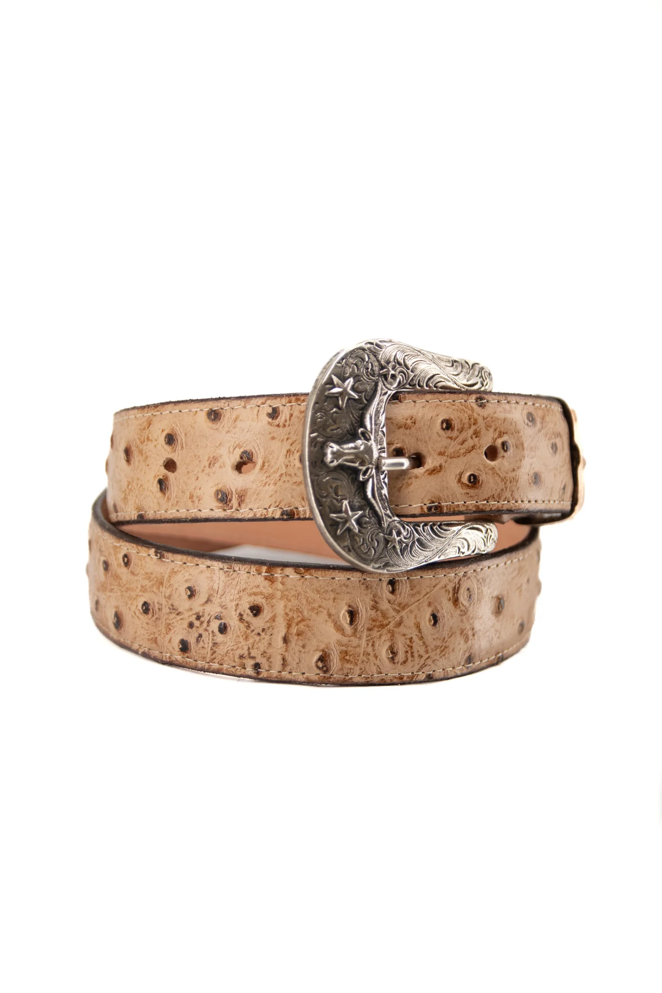 Ostrich Ranch Cowboy Belt - Image 4
