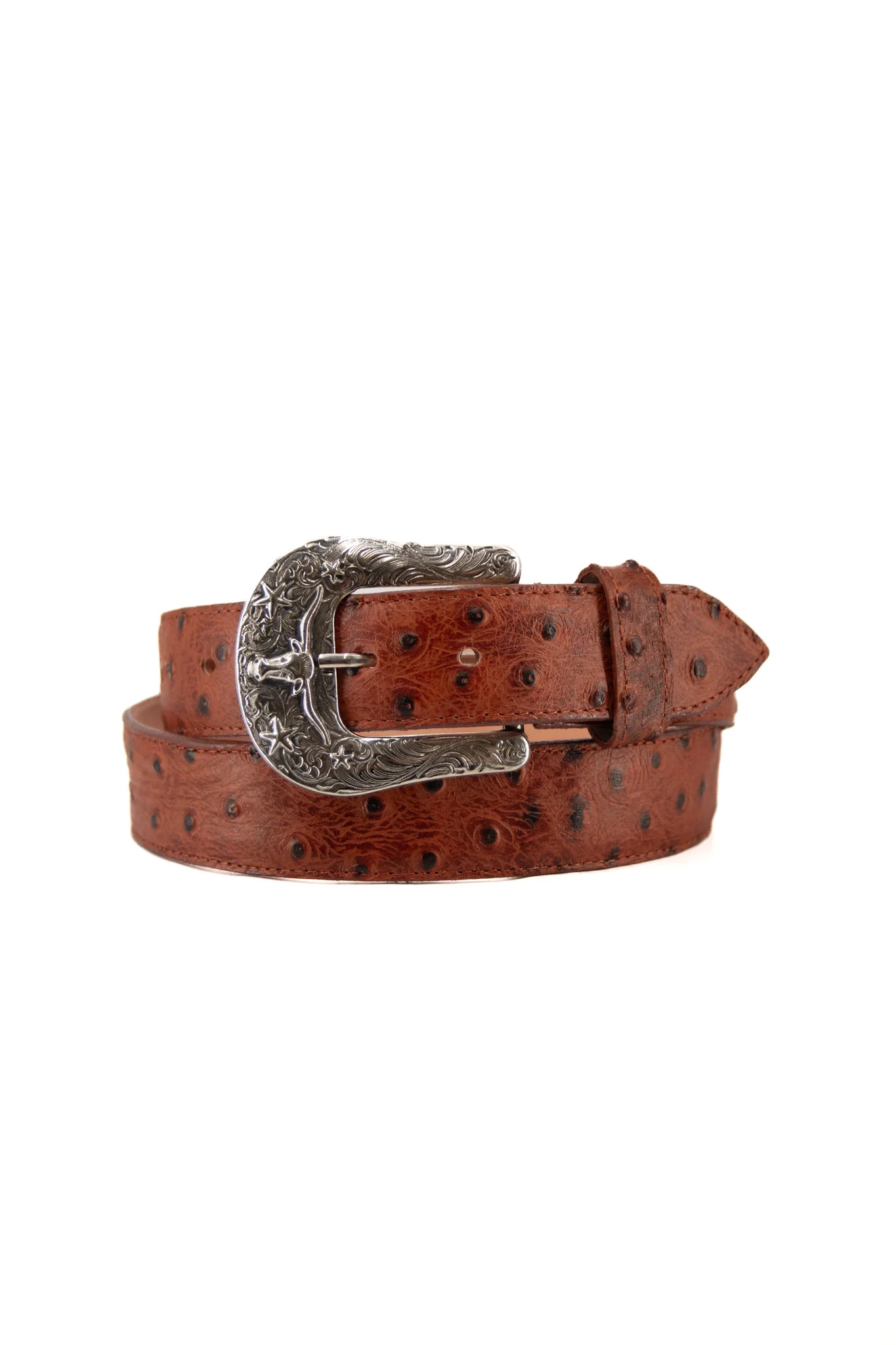 Ostrich Ranch Cowboy Belt - Image 5