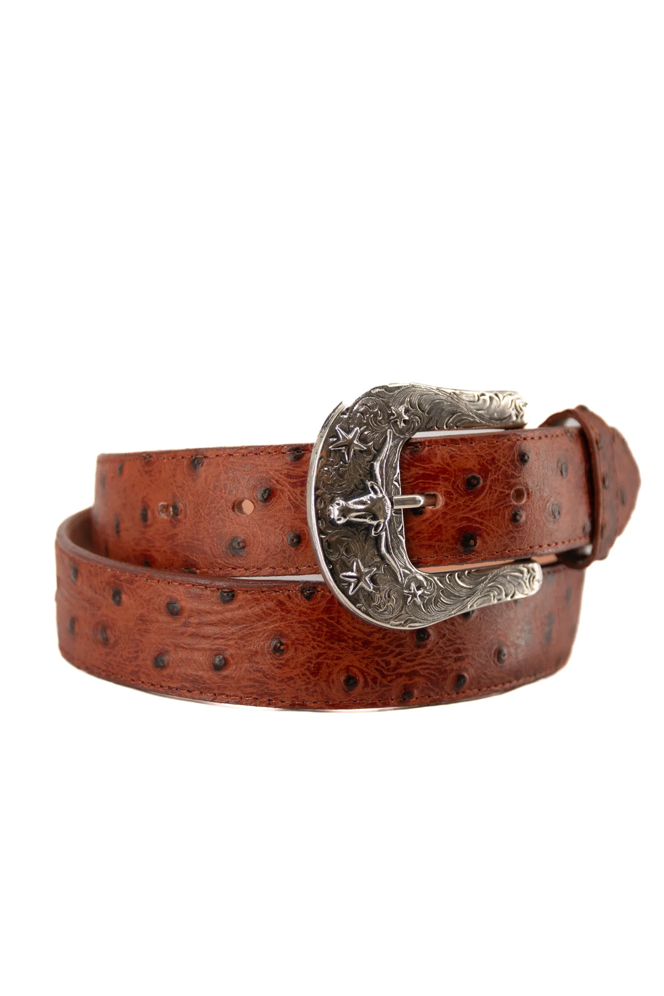 Ostrich Ranch Cowboy Belt - Image 6