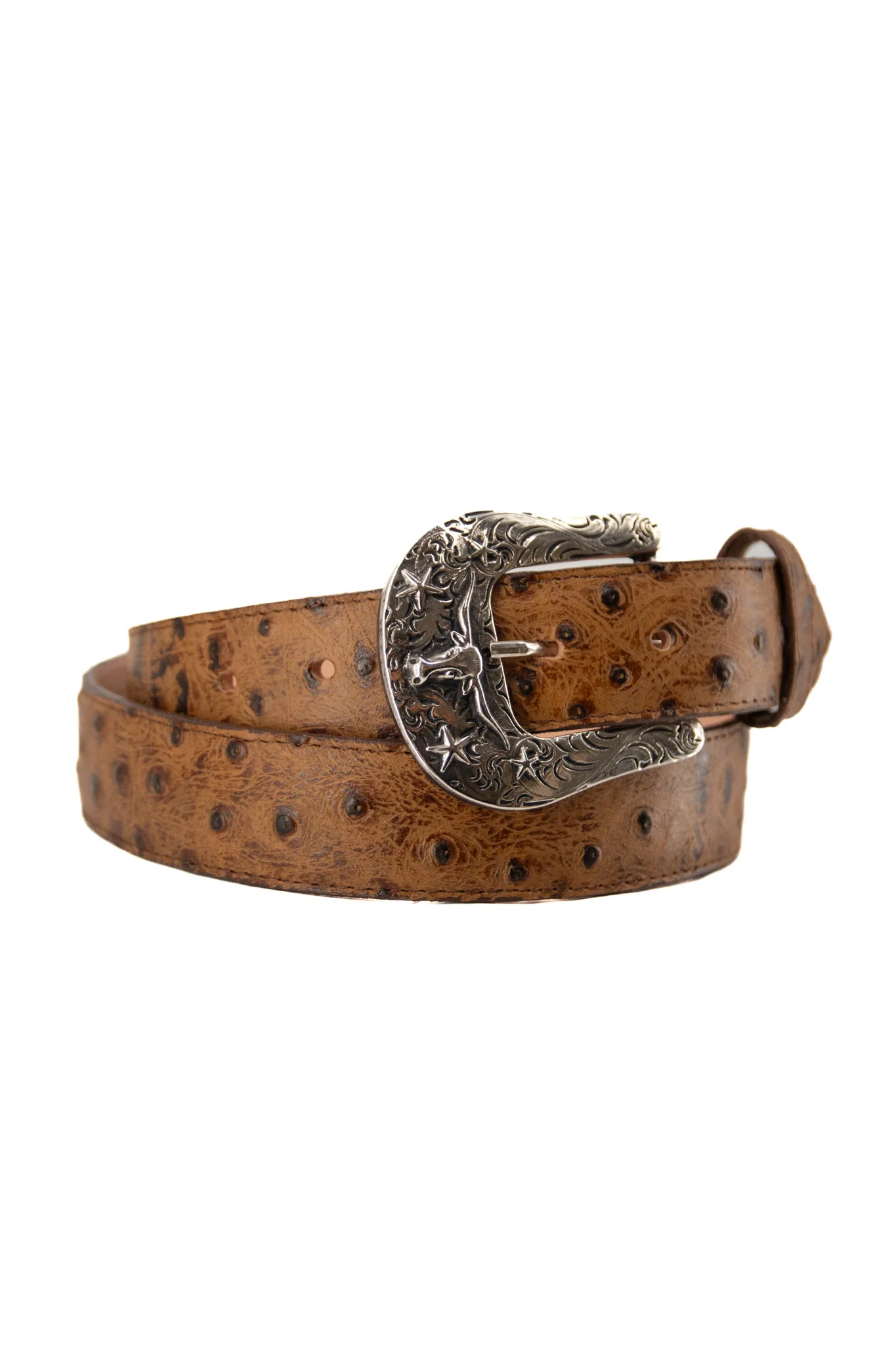 Ostrich Ranch Cowboy Belt - Image 8