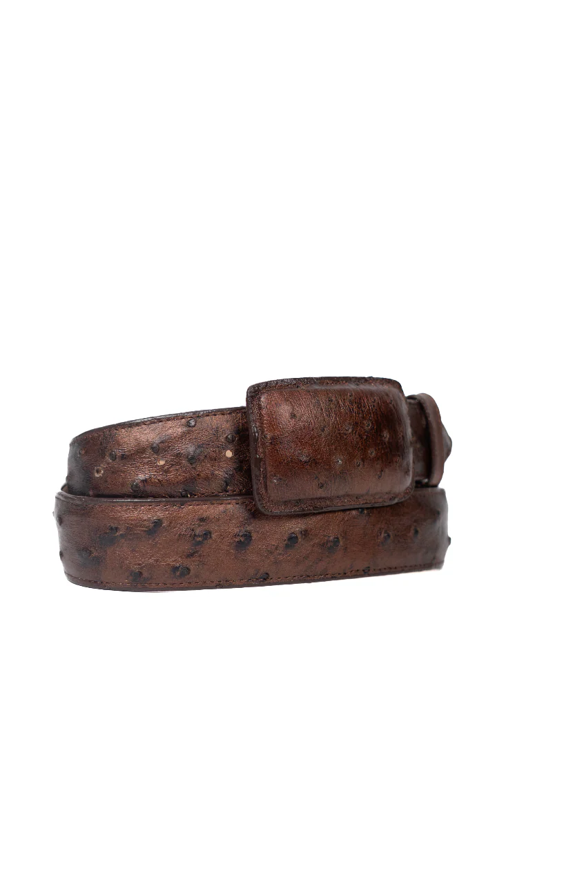 Tommy Exotic Ostrich Cowboy Belt - Image 10