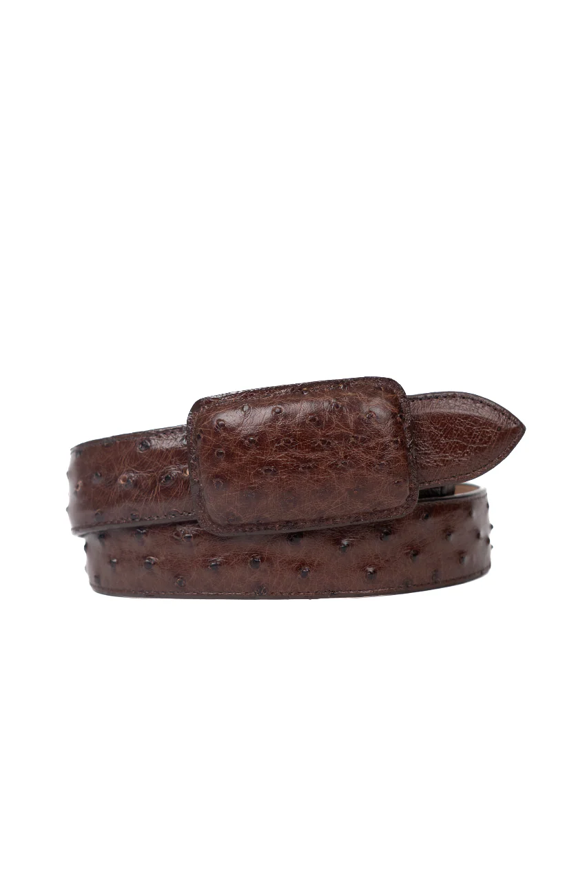 Tommy Exotic Ostrich Cowboy Belt - Image 5