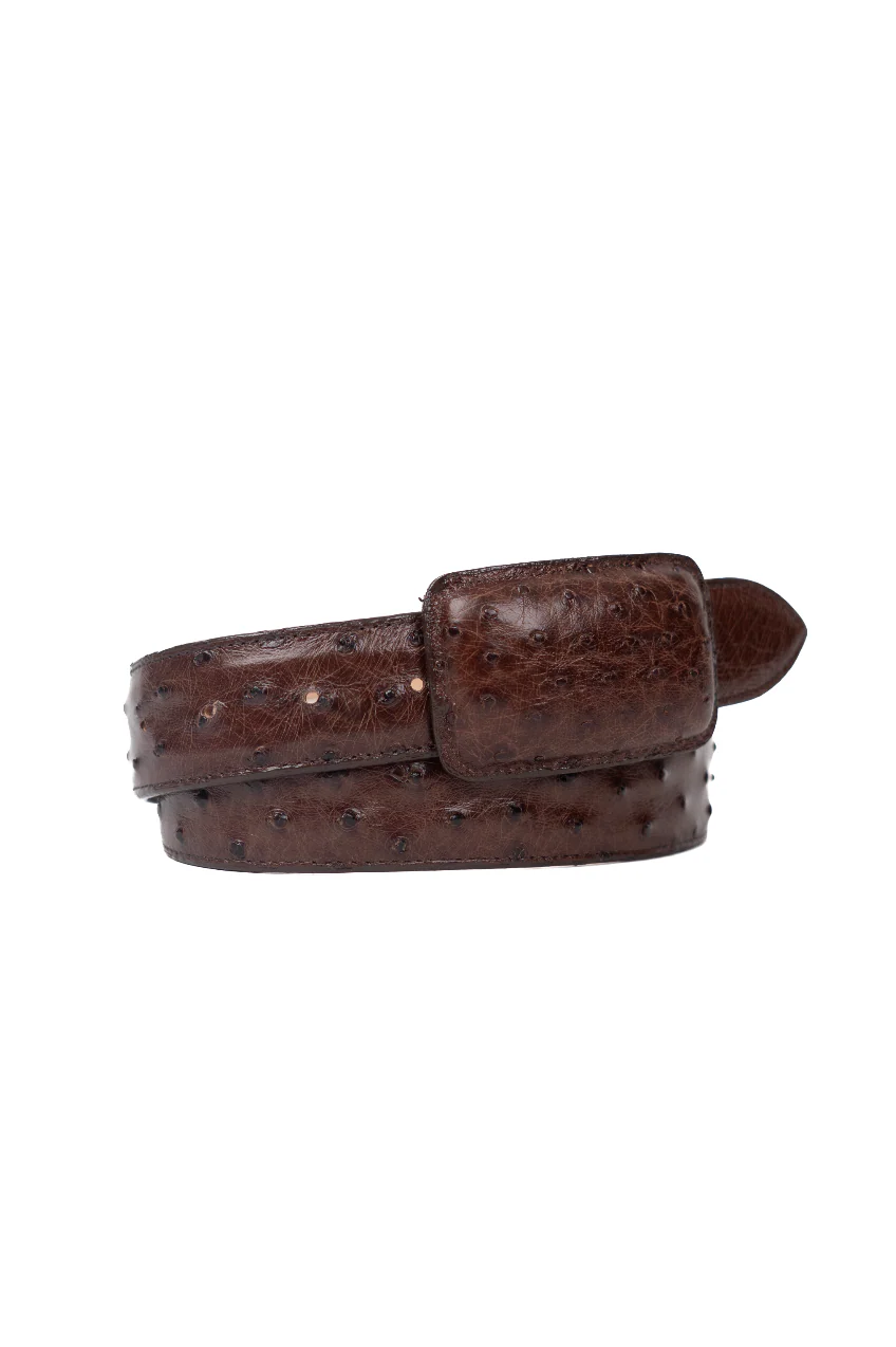 Tommy Exotic Ostrich Cowboy Belt - Image 6