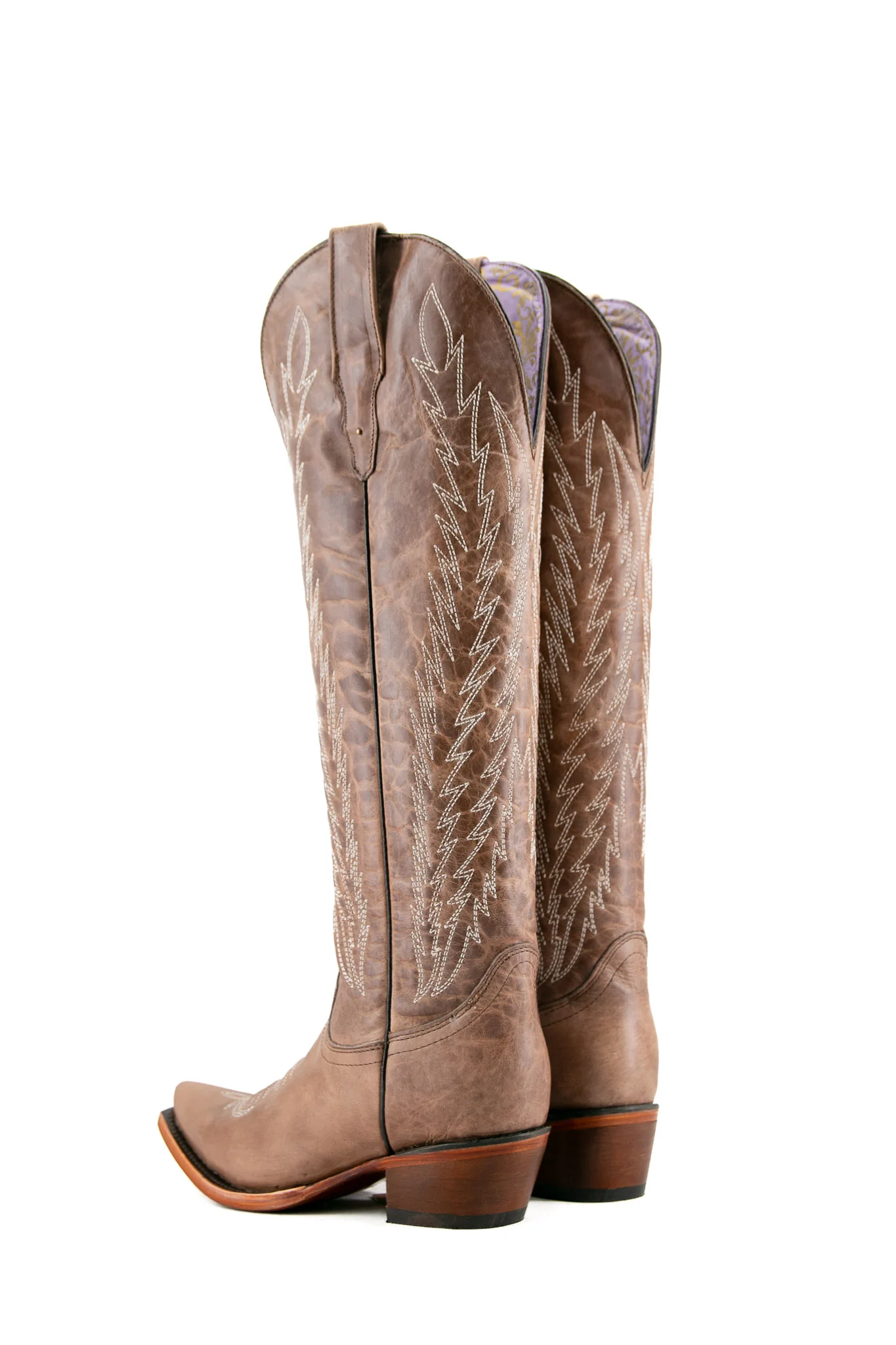 Valentina Tall Neutral Edition Snip Toe Cowgirl Boot - Image 36