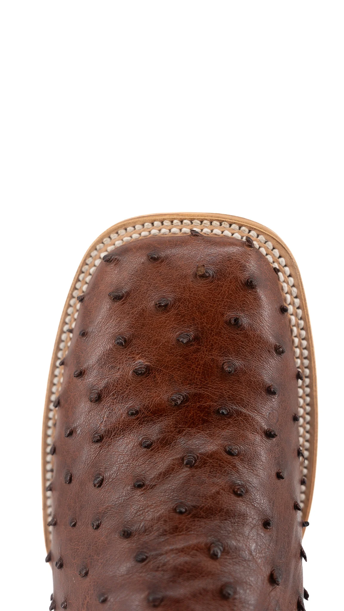 Walter Ostrich Exotic Square Toe Cowboy Boot - Image 17