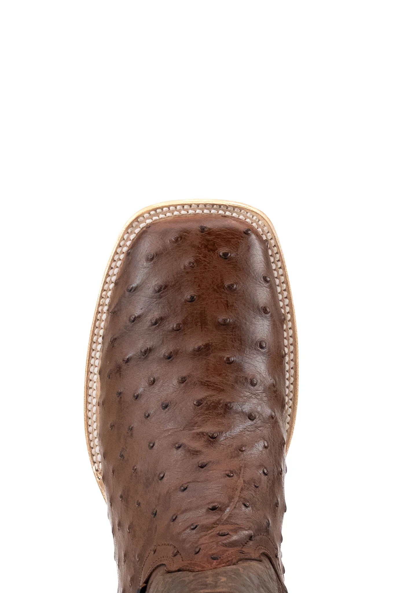 Walter Ostrich Exotic Square Toe Cowboy Boot - Image 6